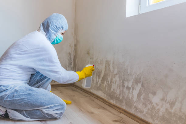 Licensed Mold Remediation service in Bernardsville, NJ - 24 Hour Mold Removal