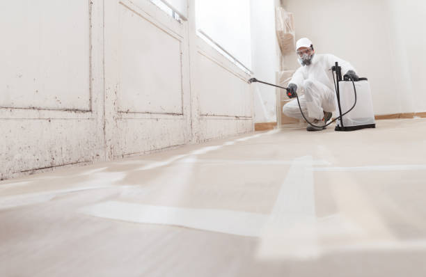 24/7 Emergency Mold Remediation experts in Bernardsville, NJ