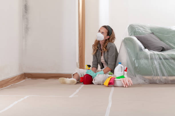 Reliable Mold Remediation contractor in Bernardsville, NJ by 24 Hour Mold Removal